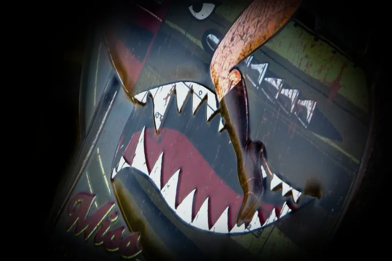 Targa decorativa vintage aereo Pin-Up in alluminio - immagine 3