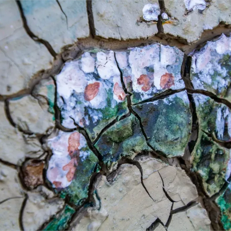 OCA FANGOAMICO - immagine 8