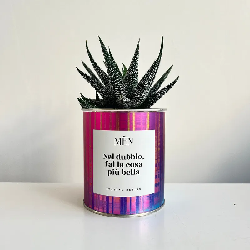 Piantina Nel dubbio fai la cosa più bella