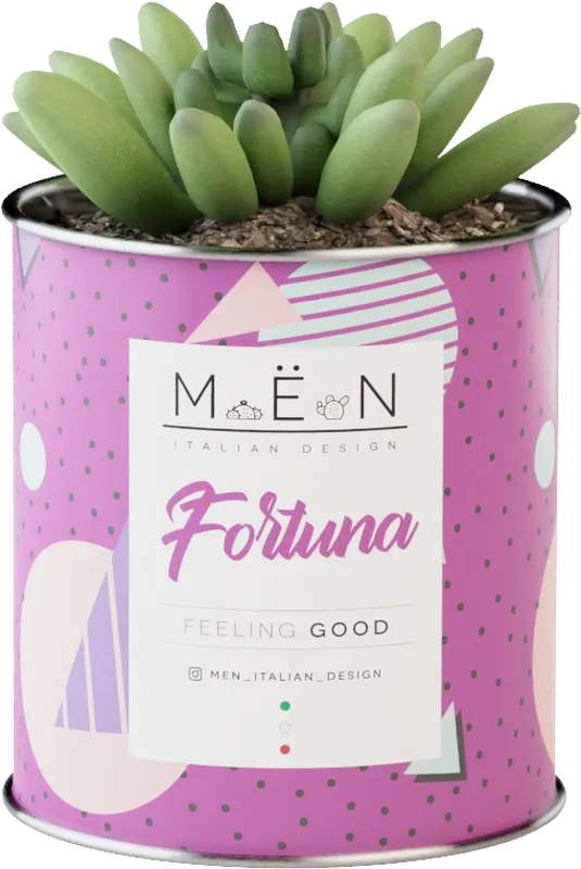 Piantina Fortuna Rosa