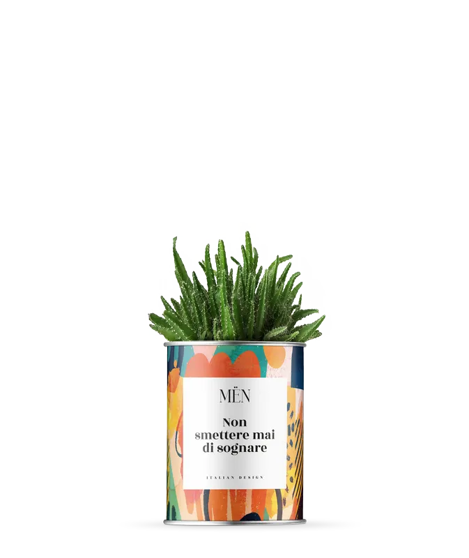 Piantina Non Smettere Mai Di Sognare