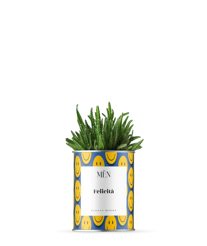 piantina Felicità Smile