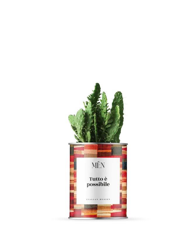 Piantina Tutto è Possibile