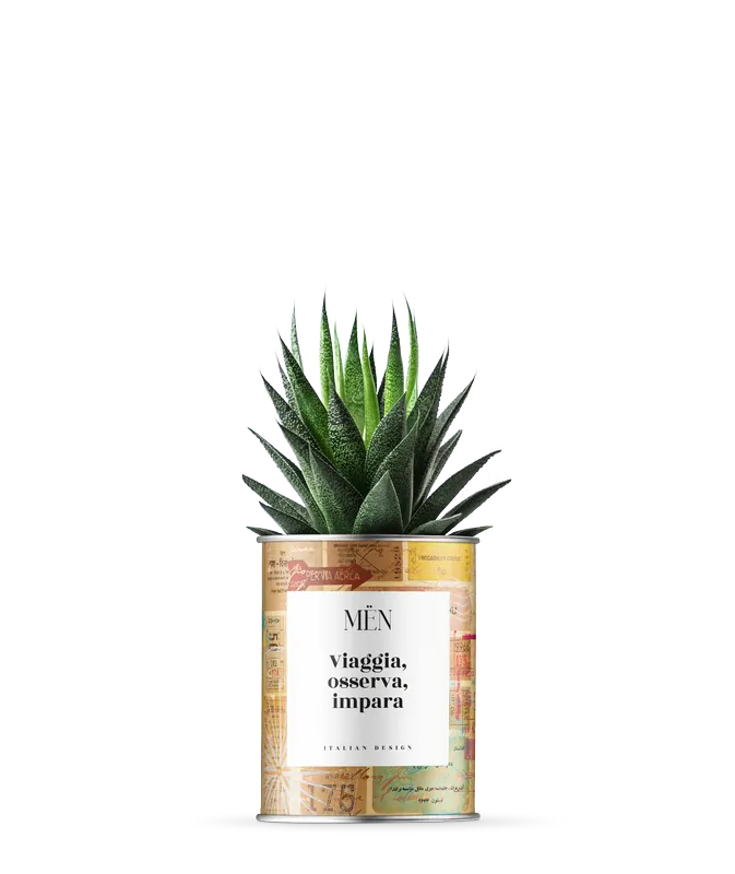 Piantina Viaggia Osserva Impara