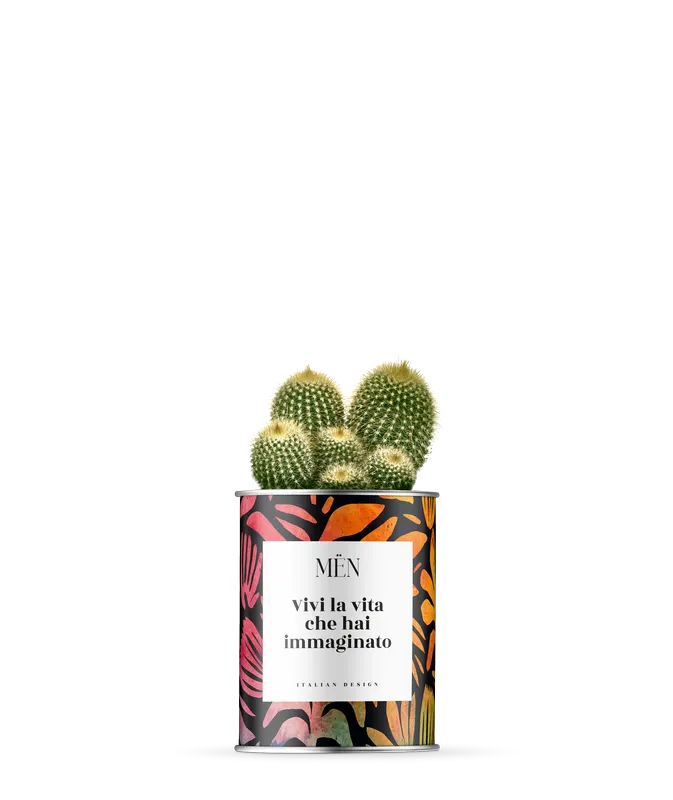 Piantina Vivi La Vita Che Hai Immaginato